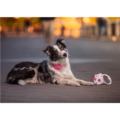 Рулетка «Салют», 5 м, до 35 кг, принт, белая