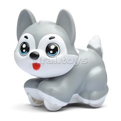 Собака "Красивая хаски" в коробке