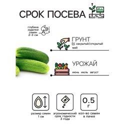 Семена Огурец "Нежинский", 0,5 г