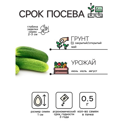 Семена Огурец "Нежинский", 0,5 г