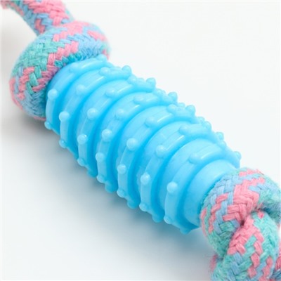 Игрушка жевательная «Элемент», 17×3.2 см, голубая/розовая