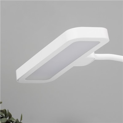 Настольная лампа «Лайти» LED 4 Вт USB АКБ бело-зеленый 12.5×19×32.5 см