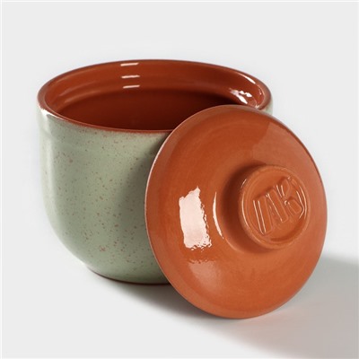 Горшочек ColorLife, 350 мл, зелёный