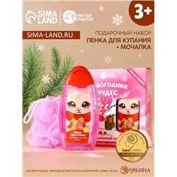 Подарочный набор новогодний детский «Чудес!»: пена для ванны 250 мл и мочалка для тела, Чистое счастье