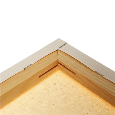 Холст на подрамнике, хлопок 100%, 60×50×2 см, акриловый грунт, мелкозернистый, 280 г/м²