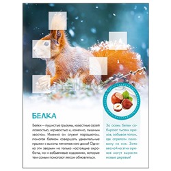 Мир животных с наклейками. Кто живёт в лесу?