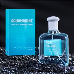 Туалетная вода мужская Colour essences Aquamarin, 100 мл (по мотивам Acqua Di Gio (G.Armani)