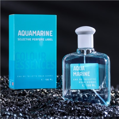 Туалетная вода мужская Colour essences Aquamarin, 100 мл (по мотивам Acqua Di Gio (G.Armani)
