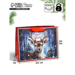 Пакет подарочный новогодний крафтовый, «Чудеса случаются», 23×18×10 см