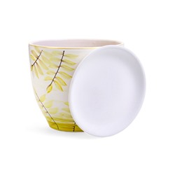 Горшок для цветов «Тропики », 5 л, d=22 см, h=19.5 см, с поддоном, керамика, белый