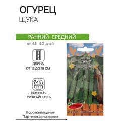 Семена Огурец Щука F1 5 шт.