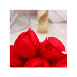 Тюльпаны мыльные красные, набор 50 шт.