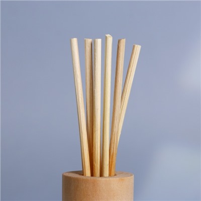 Диффузор ароматический палочки «Новогодняя коллекция: Почувствуй зимнюю сказку», аромат пломбира, 30 мл