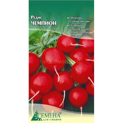 Редис Чемпион, 2г (цв.)