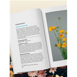 Эксмо Калверт Крари, Брюс Литтлфилд "Цветы для букета. Справочник срезанных цветов для начинающего флориста. Что и когда покупать и как продлить цветам жизнь"