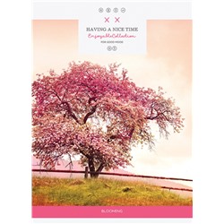 Тетрадь 80л. линия "Дерево" А4 скрепка