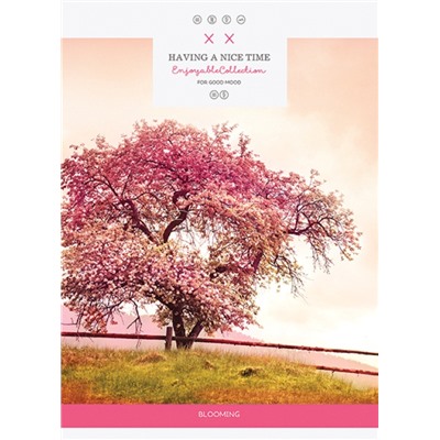 Тетрадь 80л. линия "Дерево" А4 скрепка