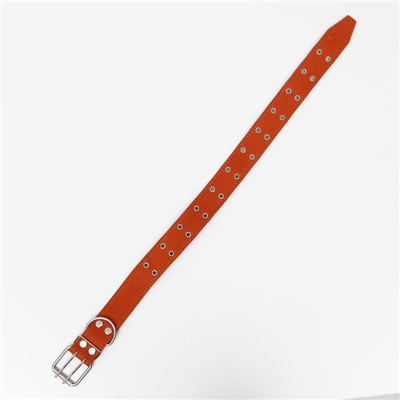 Ошейник кожаный на синтепоне, безразмерный, 83×4.5 см, ОШ 20-71 см, оранжевый