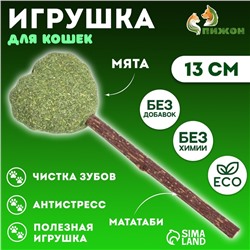 Игрушка для кошек из кошачьей мяты "Сердце" на палочке из мататаби, 13 см