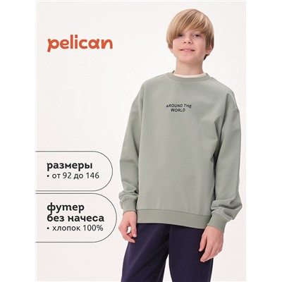 BFN3371U (Толстовка для мальчика, Pelican )