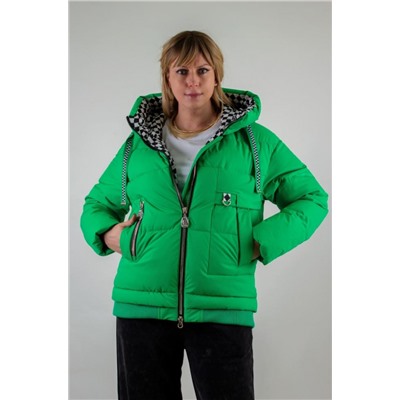 Демисезонная куртка, арт. Н3039, Евро-зима (Зеленый)
