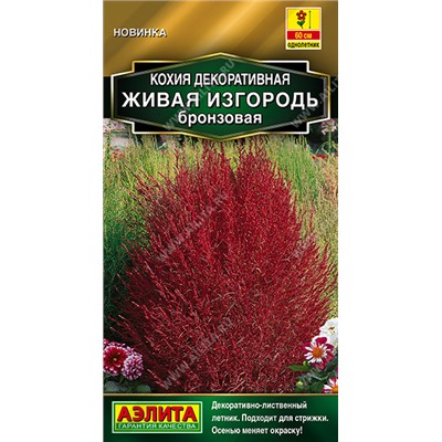 Кохия Живая изгородь бронзовая (Код: 93563)