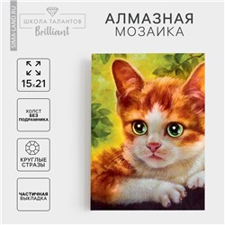 Алмазная мозаика с частичным заполнением на холсте «Котёнок», 15×21 см