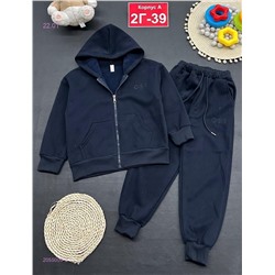 костюм с начесом 2055009-2