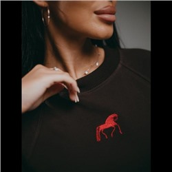 Свитшот Символ (Шоколад)