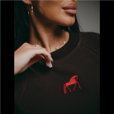 Свитшот Символ (Шоколад)