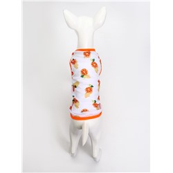 Футболка для животных «Апельсинка», размер L, ДС 34, ОГ 46 см