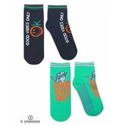 BEG3267(2) (Носки для мальчика 2 пары, Pelican )