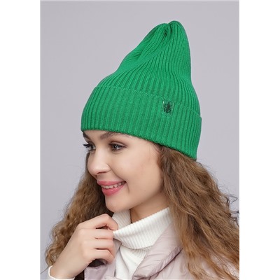 CLEVER Шапка