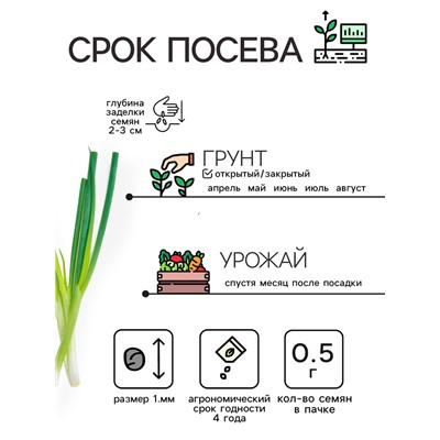 Семена Лук-батун «Русский зимний», 0.5 г, многолетник, «Рецепты дедушки Никиты»