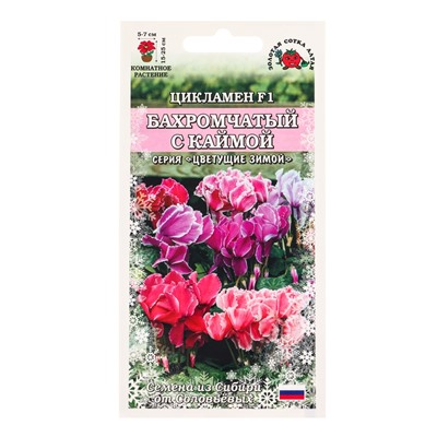 Семена комнатных цветов Цикламен «Бахромчатый с каймой», 3 шт., «Золотая Сотка Алтая»