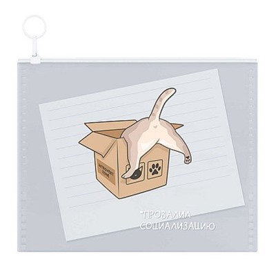 Папка на гибкой молнии А6 "КОТ В КОРОБКЕ" 72235 Феникс