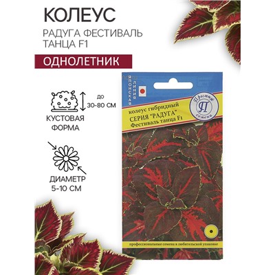 Семена цветов Колеус «Радуга - Фестиваль танца», F1, 10 шт., «Престиж семена»