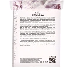 Купальница китайская, р-р I, 1 шт.