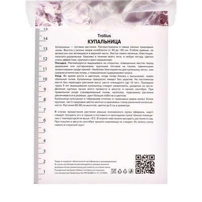 Купальница китайская, р-р I, 1 шт.