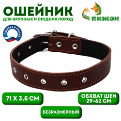 Ошейник кожаный на синтепоне, безразмерный, 71×3.5 см, ОШ 29-62 см, коричневый