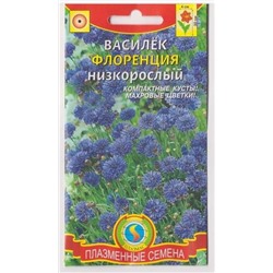Василек Флоренция (Код: 75133)
