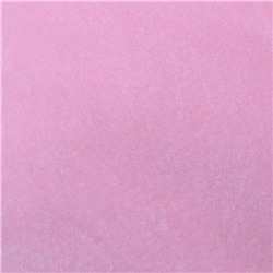 Комплектующая ворсовая ткань "Плюш розовый №18"
