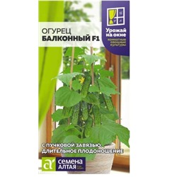 Огурец Балконный Сем.Алтая