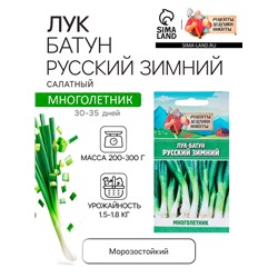 Семена Лук-батун «Русский зимний», 0.5 г, многолетник, «Рецепты дедушки Никиты»