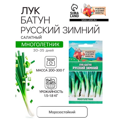 Семена Лук-батун «Русский зимний», 0.5 г, многолетник, «Рецепты дедушки Никиты»