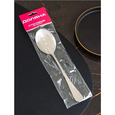 Ложка гарнирная из нержавеющей стали Доляна, h=22 см, толщина 2.2 мм, 410 сталь