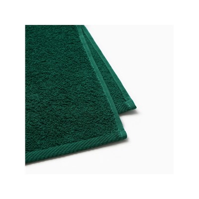 Набор полотенец «Этель. Змея», 30×60 см - 2 шт., хлопок 100%