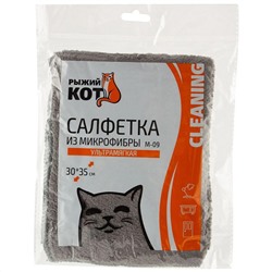 Рыжий кот Салфетка 310272