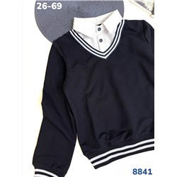 Джемпер 8841 синий
