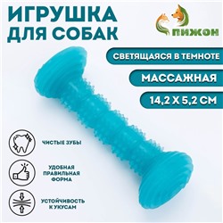 Жевательная игрушка для собак «Палка», светящаяся, массажная, 14.2×5.2 см, голубая